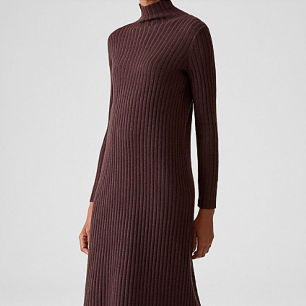 Eileen Fisher Ribbed Long Sleeve Turtleneck Dress in Brown